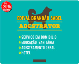 Edival Brandão: Adestrador