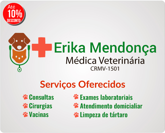 Dr. Erika Mendonça