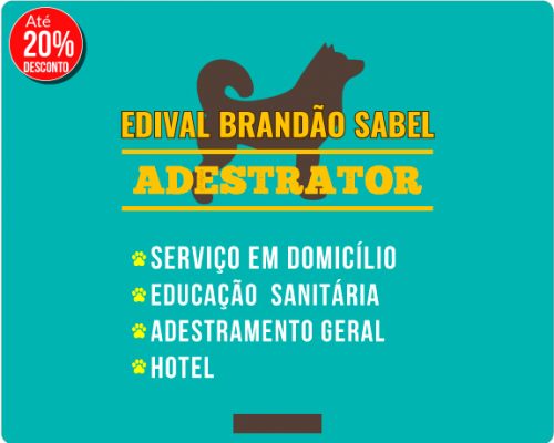 Edival Brandão: Adestrador